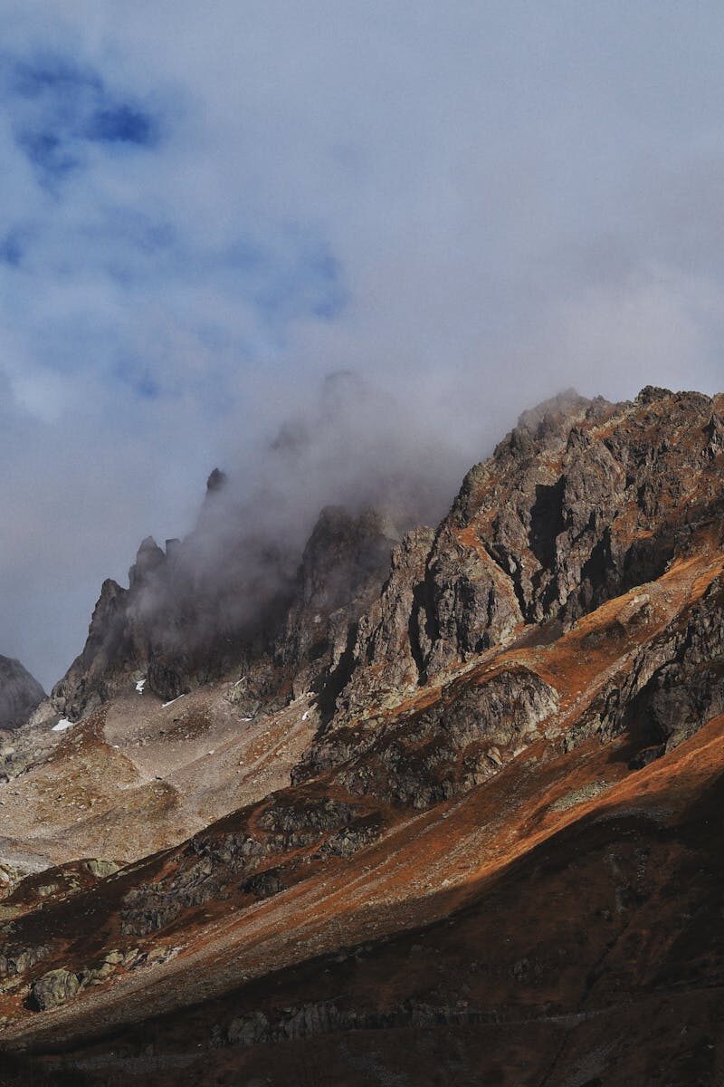 Post-Seizure Legal Notification Processes