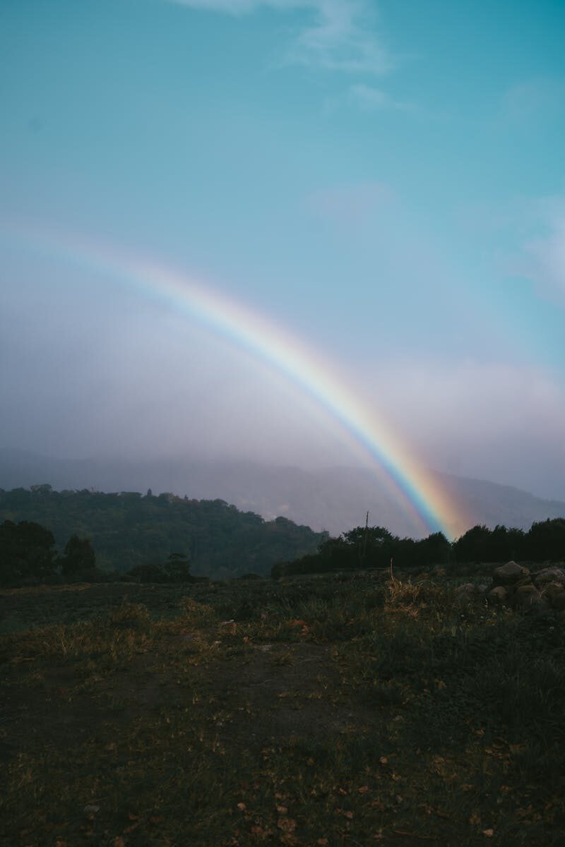 Legal Limits on Attachment Duration